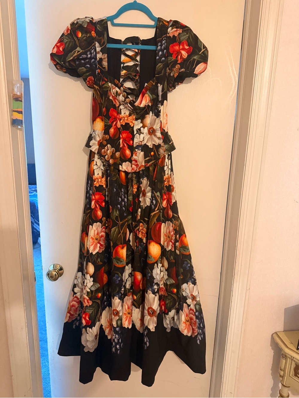 BHLDN Corset Fit & Flare Maxi Dress Fruit Print